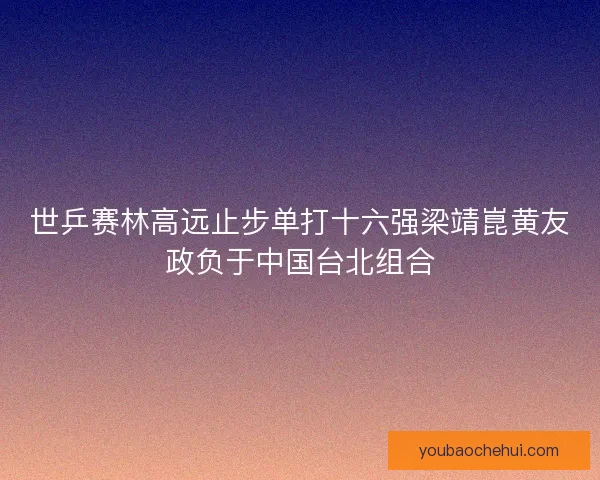 世乒赛林高远止步单打十六强梁靖崑黄友政负于中国台北组合